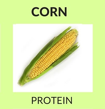 Corn Protein